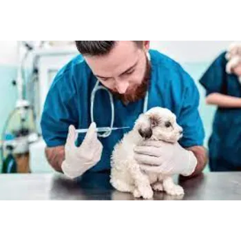 Veterinary Vaccine